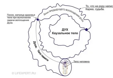 [Lifexpert] Инфокоррекция программ прошлых жизней (Вячеслав Губанов - Дмитрий Губанов)