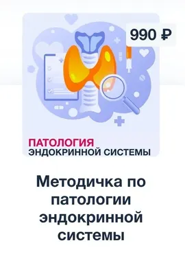 [Synapse] Методичка по патологии эндокринной системы