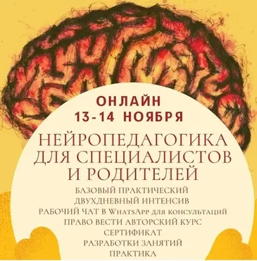 Нейропедагогика для специалистов и родителей (Нина Каверина)