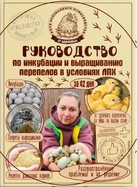 Руководство по инкубации и выращиванию перепелов в условиях ЛПХ (Анна Адамова)