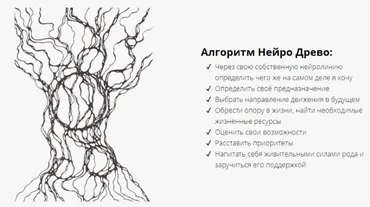 Нейро Древо - Кто Я. (Ольга Нуржанова)