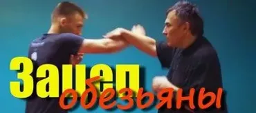 [conten] Зацеп обезьяны (Юрий Сенчуков)