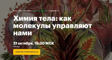 [Level One] Химия тела: как молекулы управляют нами (Мария Рабеко)