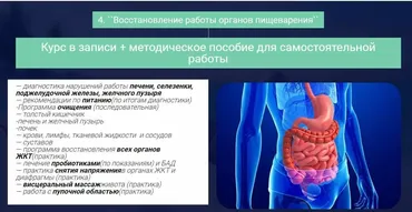 Восстановление работы органов пищеварения (Ольга Левонюк)