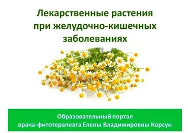 Фитооздоровление при заболеваниях желудка и кишечника (Елена Корсун)