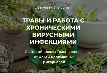 Травы и работа с хроническими вирусными инфекциями (Ольга Григорьева)
