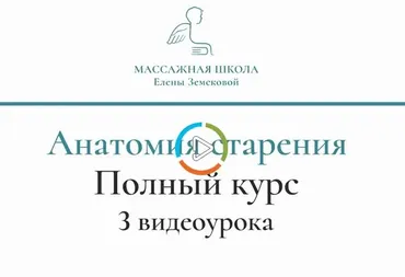 [Массажная школа Елены Земсковой] Анатомия старения. Практические аспекты (Константин Берман)