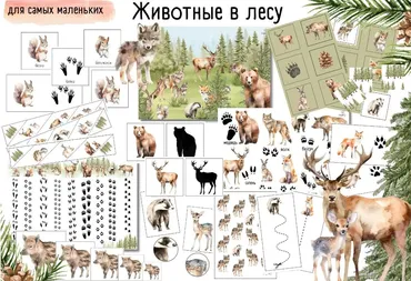 [busy-bee] Проект Животные в лесу
