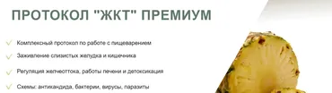 [lana Dietolog] Протокол ЖКТ Премиум (Светлана Литвиненко)