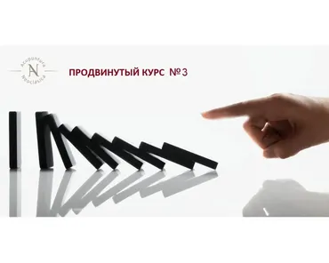 Неоклассическая акупунктура. Продвинутый курс №3 (Слейт Буррис)