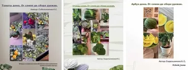 3 гайда Огурцы+томаты+салаты дома (Кристина Сидельникова)