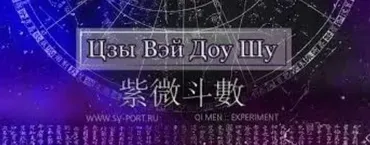 Цзы Вэй Доу Шу. Модуль 3 (Наталья Титова)