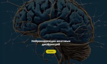 Нейрокоррекция мозговых дисфункций. Январь 2025 (Салима Саиди)