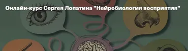 [Архэ] Нейробиология восприятия. Осязание. Лекция 2 (Сергей Лопатин)