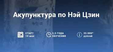 [Краниосакральная академия] Акупунктура по Нэй Цзин. Семинар 4 (Питер Ван Кервель)