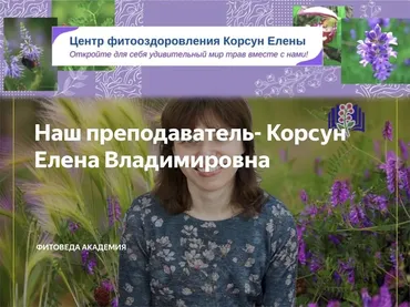Травы для иммунитета (Елена Корсун)