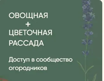 Рассада без досады. Овощная + цветочная рассада (Анна Акинина)