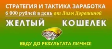 Стратегия и тактика заработка (Лиза Дорошина)