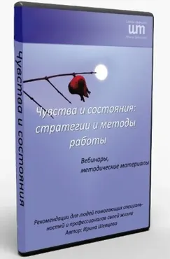 Чувства и состояния стратегия и методы работы (Ирина Шевцова)