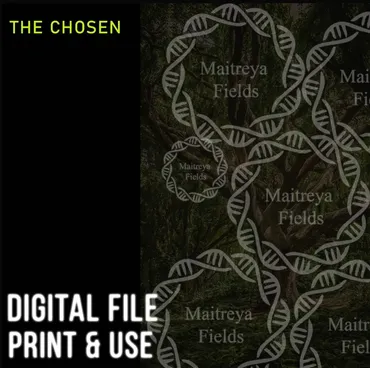 [Maitreya Fields] DM: Избранные. DM: The Chosen