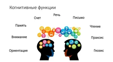 Когнитивные функции и их нарушения (Татьяна Визель)
