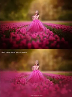 [Kimladesigns.com] Фотоналожения Тюльпаны / Tulips Photo Overlays