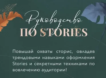[Bizcarusel] Руководство по stories. Lite-версия (Катерина Алешина)