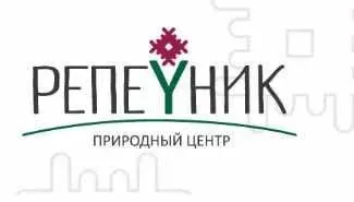 [Репейник] Мелколуковичные + Зачем укроп в цветник и как сочетать несочетаемое (Ирина Пыжикова)