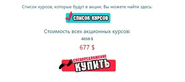 The Final Countdown. Тотальная ликвидация. Тотальная распродажа (Юлия Воронина)