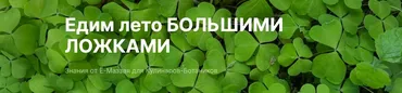 [Ё-Маззай] Едим лето большими ложками (Валерий Коршунов)
