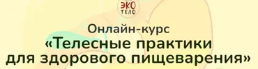 [Экологичное тело] Телесные практики для здорового пищеварения (Аркадий Сыркин, Наиля Самсонова)