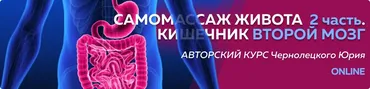 [Центр Норбекова] Самомассаж живота. 2 часть Кишечник второй мозг (Юрий Чернолецкий)