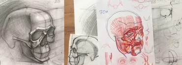[Udemy] Рисуем череп (Дарья Остапенко-Праведникова)