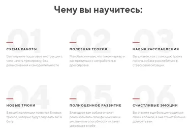[kinologschool] Трюки 2.0 (Антонина Зимарева)