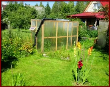 Парник для ленивых (Владимир Почеевский)
