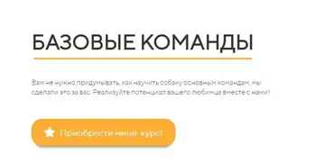 [kinologschool] Базовые команды (Антонина Зимарева)
