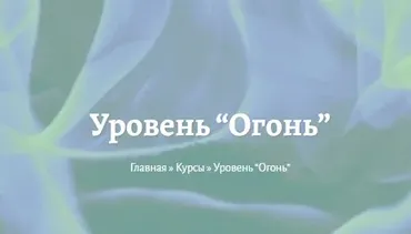 Уровень Огонь (Елена Миргородская,  Станислав Лосев)