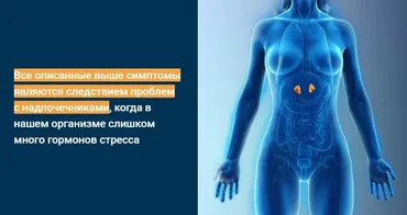 Надпочечниковый тип телосложения. Тариф Pro (Доктор Эрик Берг)