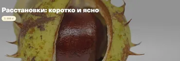 [Timepad] Расстановки: коротко и ясно (Елена Веселаго)