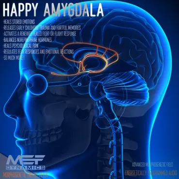 [MEF Dynamics] Амигдала | Amygdala (Morphic Field)