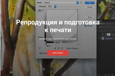 Репродукция и подготовка к печати (Марат Нигаметзян)