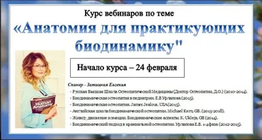 [cranio-acad] Цикл вебинаров. Анатомия для практикующих биодинамику, 2018 год (Евгения Затицкая)