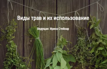 [Книга теней] Виды трав и их использование (Ирина Стейнар)