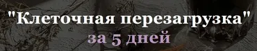 Клеточная перезагрузка за 5 дней (Юлия Кудрина)