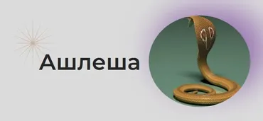 [Astrogreen] Накшатра Ашлеша (Анна Воробьева)