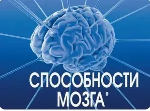 Реализация способностей мозга (Егор Булыгин)