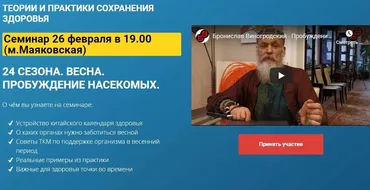 24 сезона. Весна. Пробуждение насекомых (Бронислав Виногродский)
