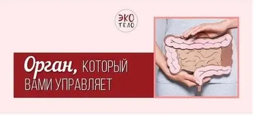 [Экологичное тело] Любимый кишечник: микробиом (Елена Касьянова)