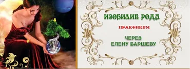 Изобилие Рода. Практикум (Елена Баршева)