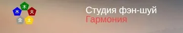 Отсутствующие элементы в карте Бацзы (Юлия Бальсина)